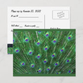 グリーンピーコックフェザーRSVP インビテーションポストカード (正面/裏面)