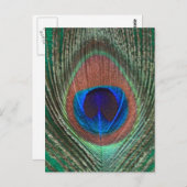 グリーンピーコック羽毛はがき ポストカード (正面/裏面)