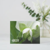 グリーンピースのエンドウの花オリジナルテンプレートポストカード ポストカード (スタンド正面)