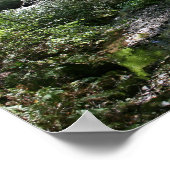 「グリーンピース」、ミューア・ウッズ ポスター (角)