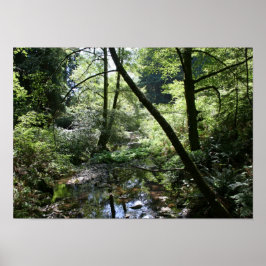 「グリーンピース」、ミューア・ウッズ ポスター