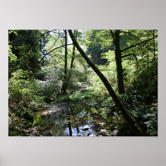 「グリーンピース」、ミューア・ウッズ ポスター (正面)