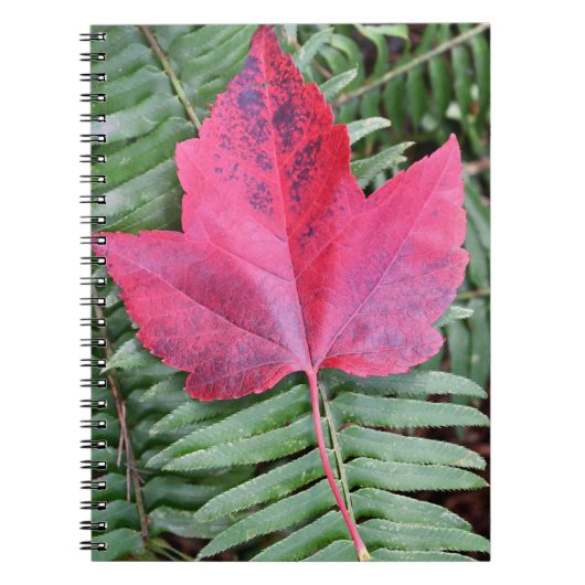 グリーンファーンボタニカルの赤いカエデの葉 ノートブック (正面)