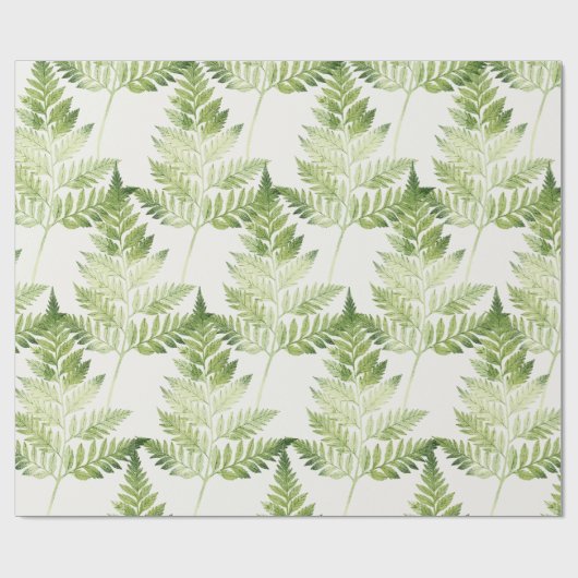 グリーンファーンボタニカルイラストレーション ラッピングペーパー (フラット)