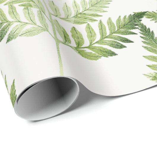 グリーンファーンボタニカルイラストレーション ラッピングペーパー (ロールコーナー)