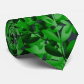 グリーンファーンメンズタイ ネクタイ (ロール)