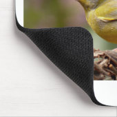 グリーンフィンチ マウスパッド (コーナー)