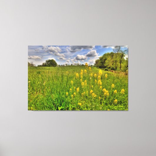 グリーンフィールドと曇り青空 キャンバスプリント (正面)