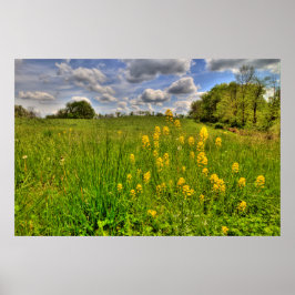 グリーンフィールドと曇り青空 ポスター