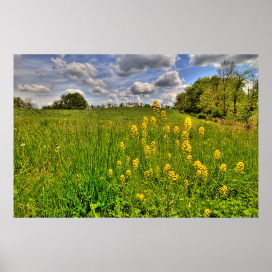 グリーンフィールドと曇り青空 ポスター (正面)