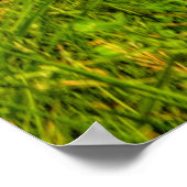 グリーンフィールドと曇り青空 ポスター (角)