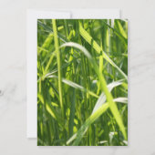 グリーンフィールドグラスアウトドアブライダルシャワー 招待状 (裏面)