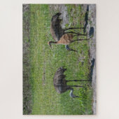 グリーンフィールド写真のフロリダサンドヒルクレーン ジグソーパズル (縦)