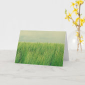 グリーンフィールド カード (黄色い花)