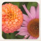 グリーンフィールド·ヴィレッジ·デアボーン·ミシガン。桃 スクエアペーパーコースター (正面)