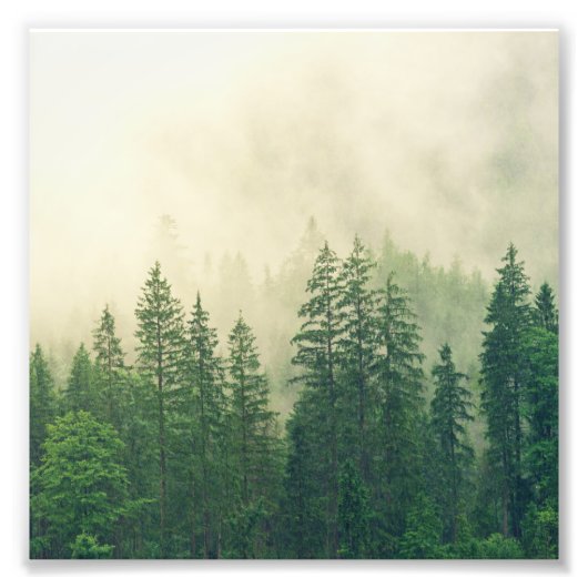 グリーンフォギーロッキーマウンテンズコロラドUSAアドベンチャー フォトプリント            (正面)