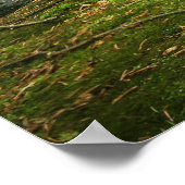 グリーンフォレストと川 ポスター (角)