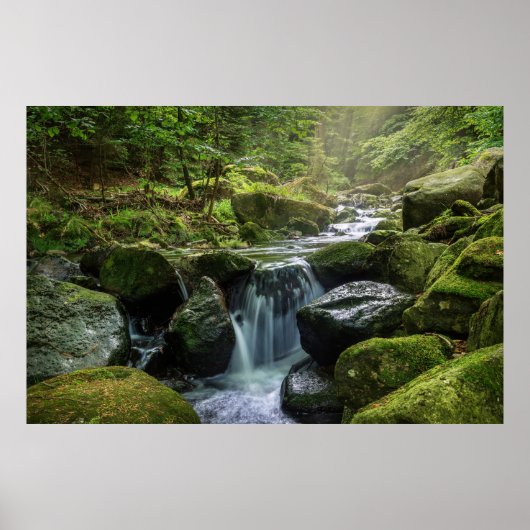 グリーンフォレストと川 ポスター (正面)