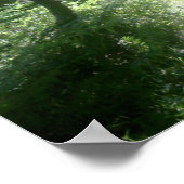 グリーンフォレストグレード ポスター (角)