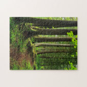 グリーンフォレストトレイル風光明媚 ジグソーパズル (横)