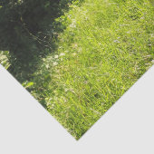 グリーンフォレストメドウ 薄葉紙 (詳細)