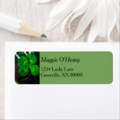 グリーンフォーリーフクローバーラッキーパーソナライズされた ラベル (インサイチュ)