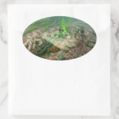 グリーンフロッグモッシー 楕円形シール (バッグ)