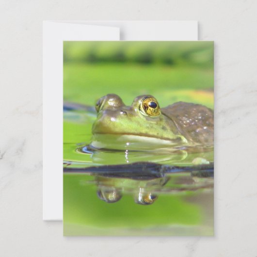 グリーンフロッグ招待状 招待状 (正面)