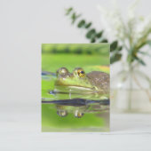 グリーンフロッグ招待状 招待状 (スタンド正面)