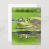 グリーンフロッグ招待状 招待状 (正面/裏面)