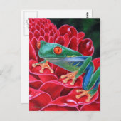 グリーンフロッグ絵画アニマルアート数々の- ポストカード (正面/裏面)