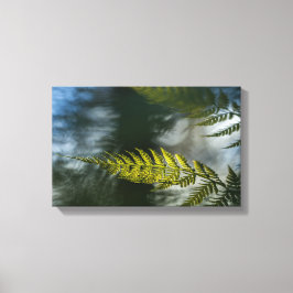 グリーンフローラシダ自然写真 キャンバスプリント