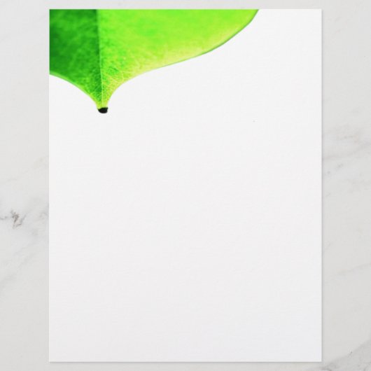 グリーンフ離れィラー チラシ (正面)