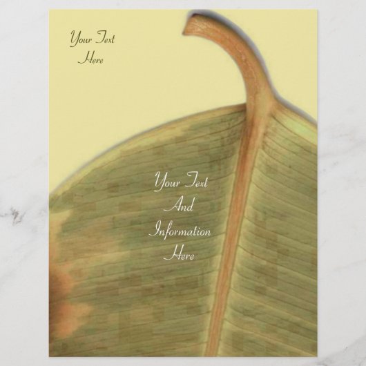 グリーンフ離れィラー チラシ (正面)