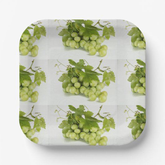 グリーンブカスタムーツ7 "紙プレート ペーパープレート (正面)