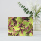 グリーンブッシュ葉書 ポストカード (スタンド正面)