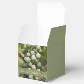 グリーンブドー結婚ズブドウ フェイバーボックス (オープン)