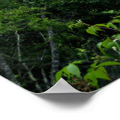 グリーンブライア川をのぞき込む ポスター (角)