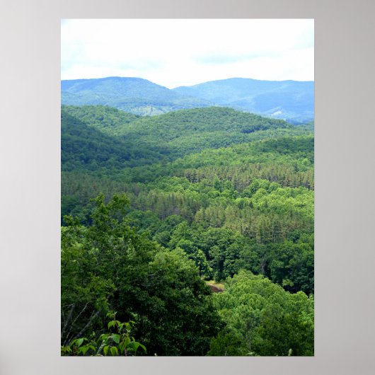 グリーンブライア川をのぞき込む ポスター (正面)