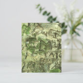 グリーンブラウン彫り樹皮テクスチャースクラップブック紙 (スタンド正面)