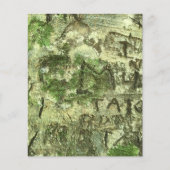 グリーンブラウン彫り樹皮テクスチャースクラップブック紙 (正面)