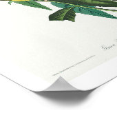 グリーンブラックキャプフライ捕手Audubon Poster ポスター (角)