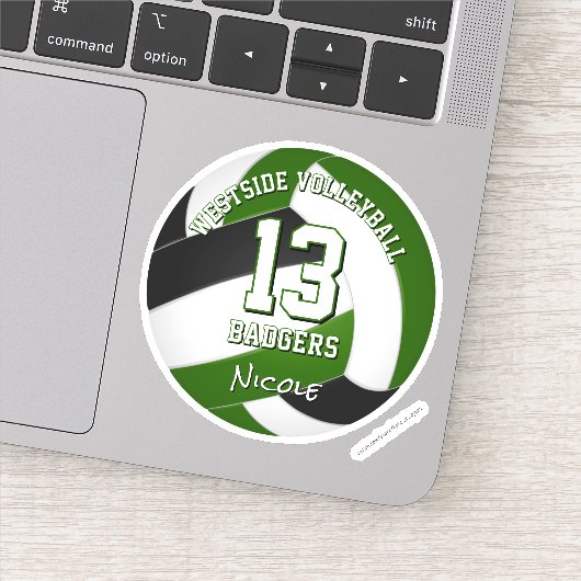 グリーンブラックチームカラーバレーボール選手 シール (詳細)