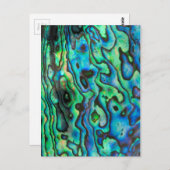 グリーンブルーパウアアワビの殻 ポストカード (正面/裏面)