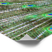 グリーンブルーピーコックフォトコラージュ ポスター (角)