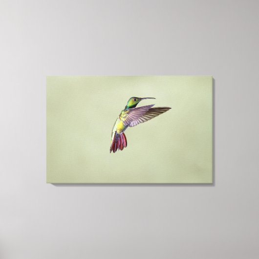 グリーンブレストマンゴーハミングバードアントラソコラックス2 キャンバスプリント (正面)