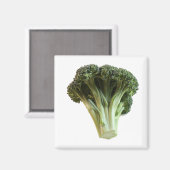 グリーンブロッコリー生野菜フローレット マグネット (正面/裏面)