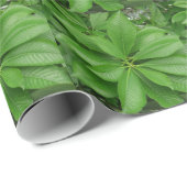 グリーンプラントラッピング紙 ラッピングペーパー (ロールコーナー)