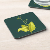 グリーンプラントワイルドニンニク植物学 コースター (左側)