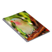 グリーンプリンセスパラケートプリント ノートブック (右側)